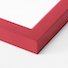 Vector Red