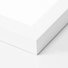 Vector White