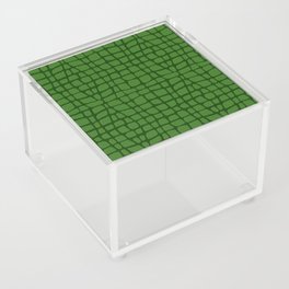 Green Crocodile Skin Acrylic Box