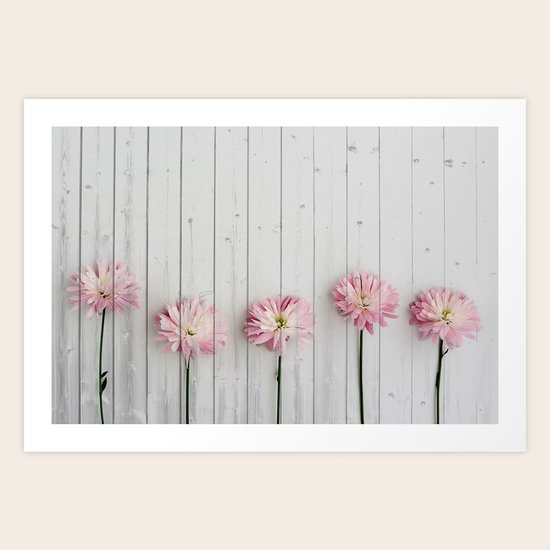Pink Flowers Art Print