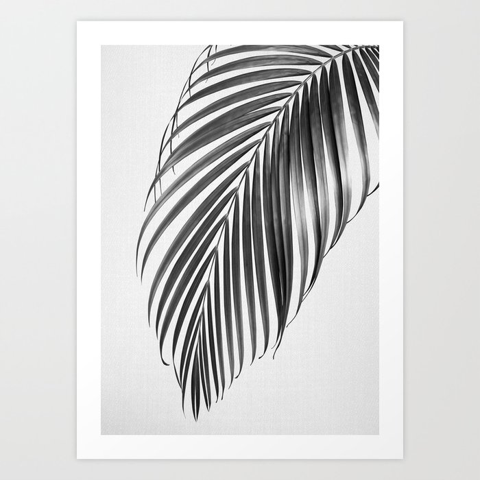 Palm Leaf - Black & White Art Print