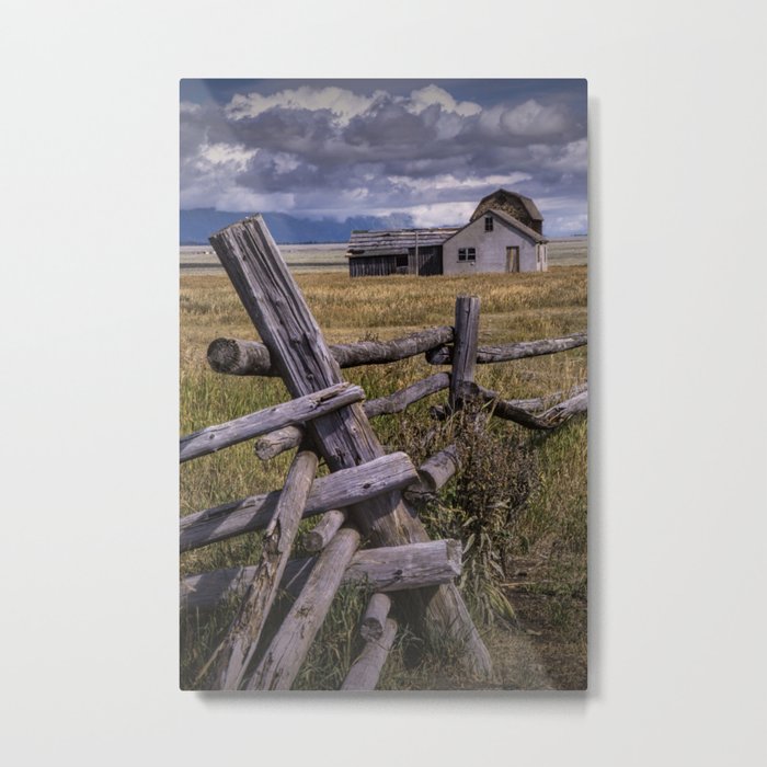 Mormon Row John Moulton Farm in the Grand Teton National Park  Metal Print