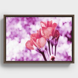 Pink Purple Near Bloom Flowers Framed Canvas