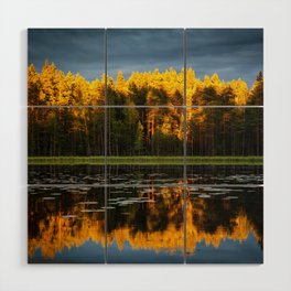 Mirrored autumn lake with golden foliage reflection as sun sets alpine color photograph / photography Wood Wall Art