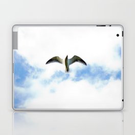 Seagull in Flight Laptop & iPad Skin