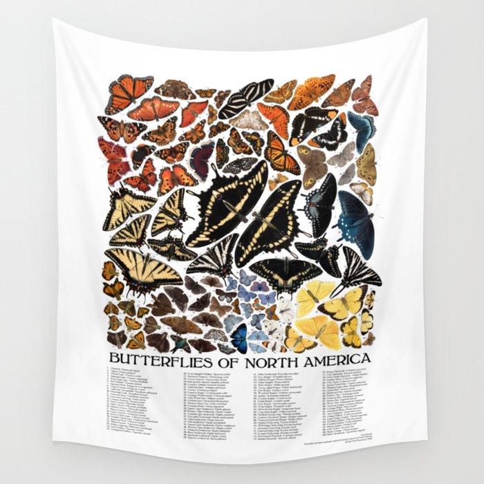 Butterflies of North America Wall Tapestry