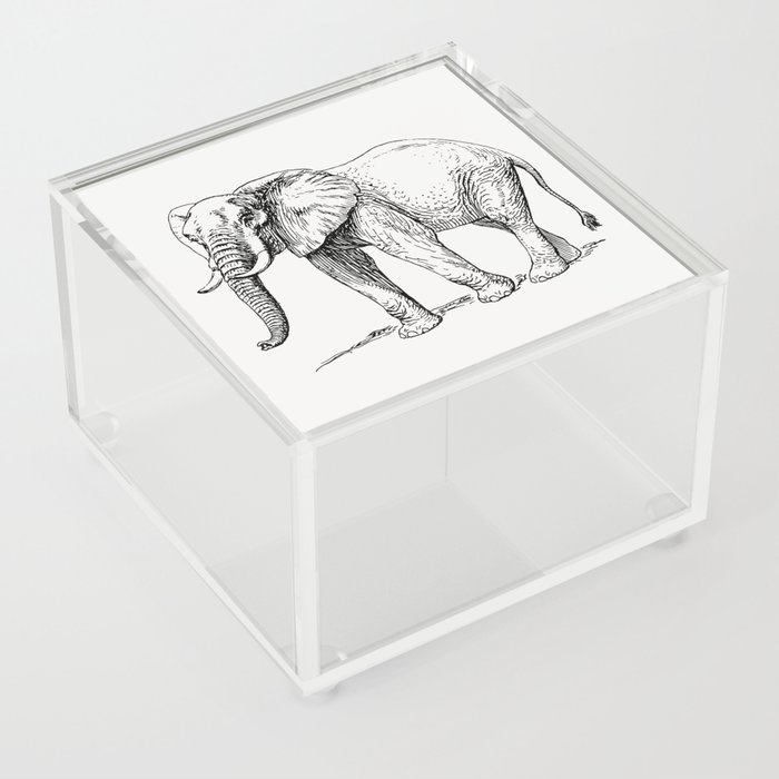 Elephant Illustration Acrylic Box