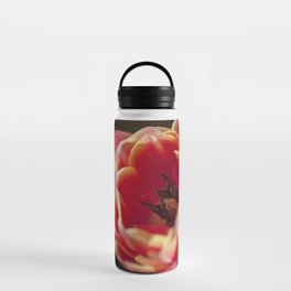 peach tulips Water Bottle