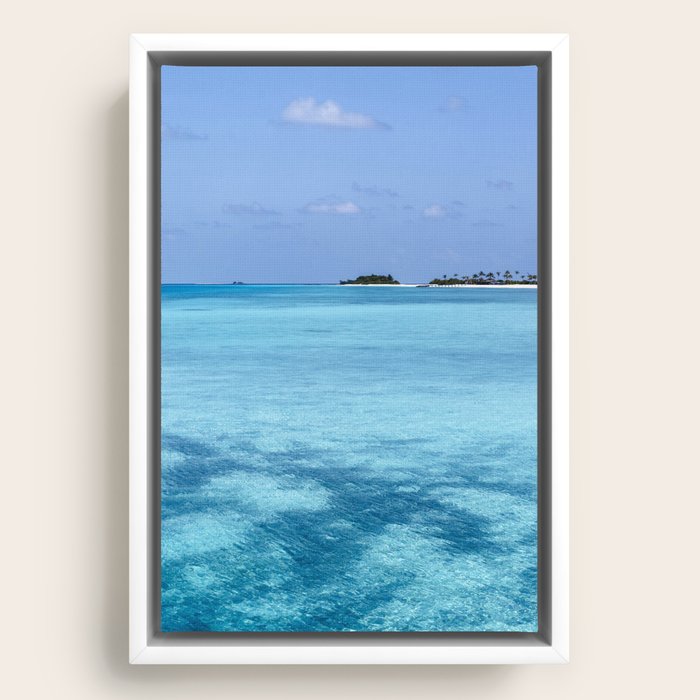 Framed Canvas