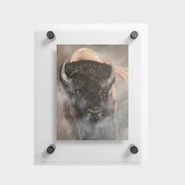 Bison Floating Acrylic Print