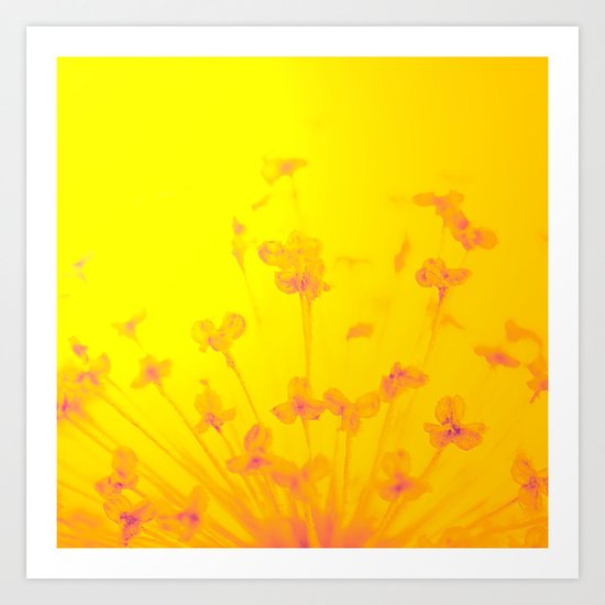 Bright Sunny Morning Art Print