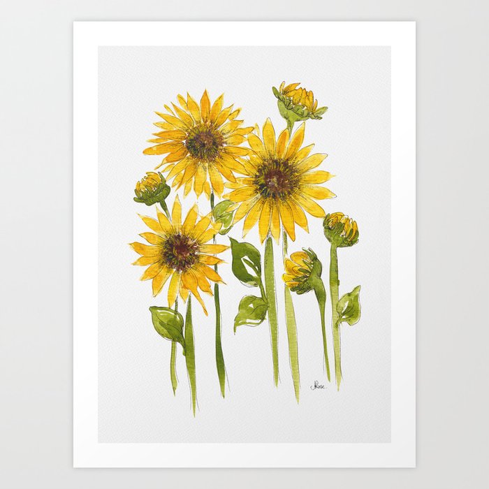 Yellow Sunflower Fields Watercolour Art Print