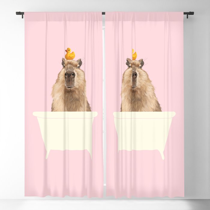 Blackout Curtain