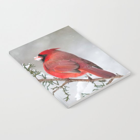 Snow on His Face (Northern Cardinal) Notebook