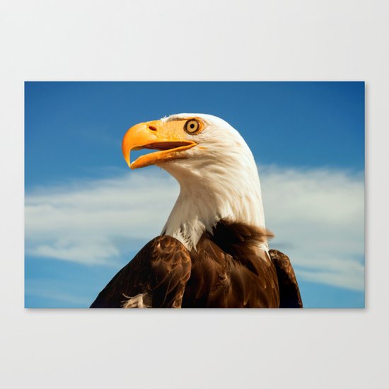 EAGLE EYED Canvas Print