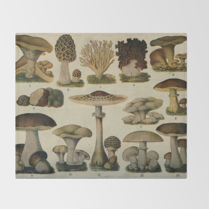 Edible Mushrooms Chart Throw Blanket
