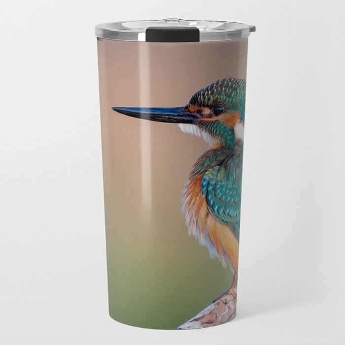 Turquoise Blue and Orange Bird on Perch Animal / Wildlife / Nature Photograph Travel Mug And More