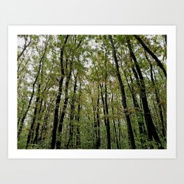 Dive in the deep greem forest Art Print