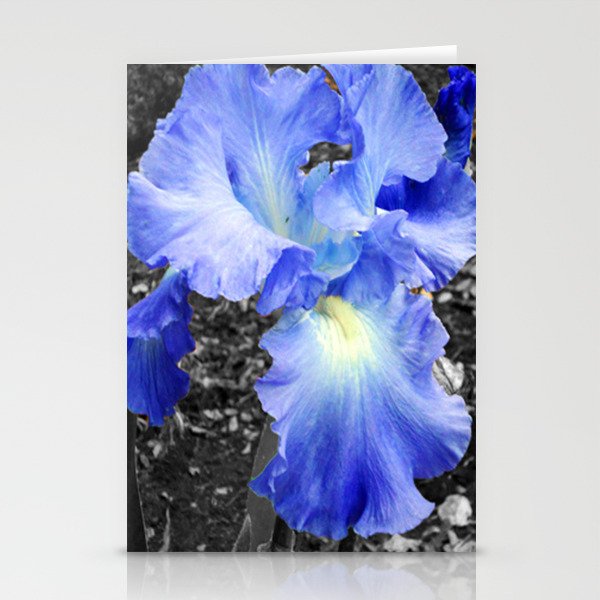 Blue Flower Stationery Cards