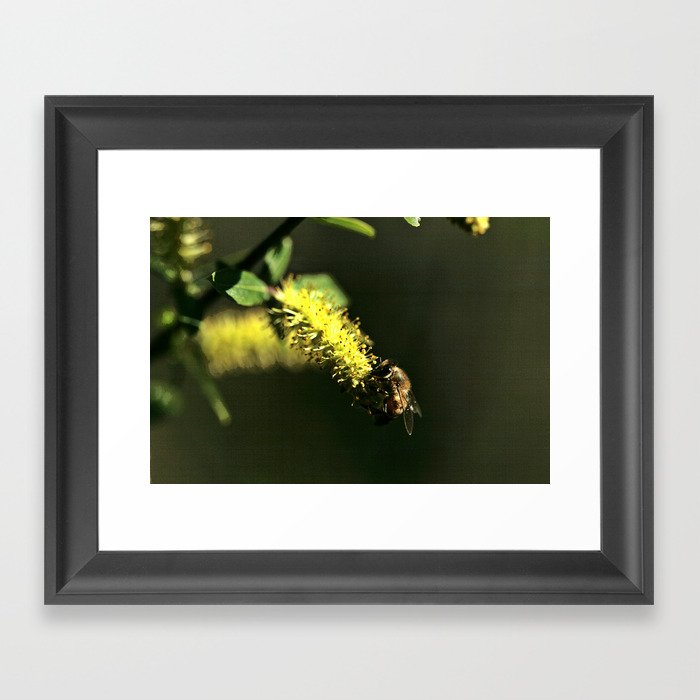 Bee There Framed Art Print