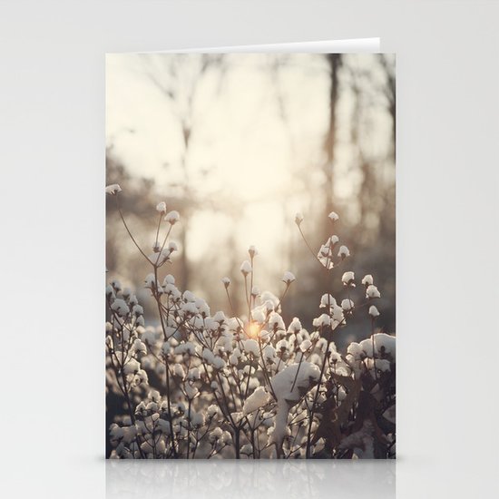 Northern Cotton Stationery Cards