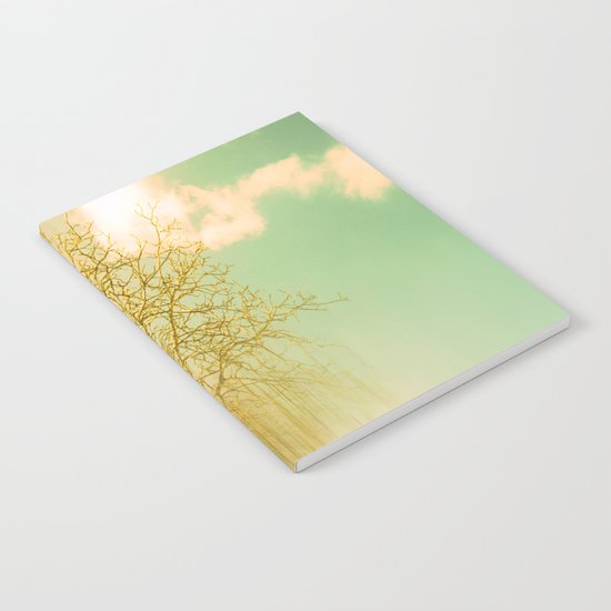 Impermanence Notebook