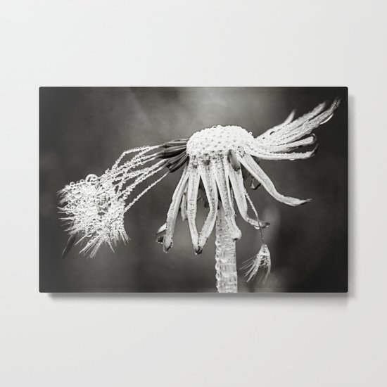 the weight Metal Print