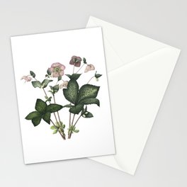 Hellebore Stationery Card