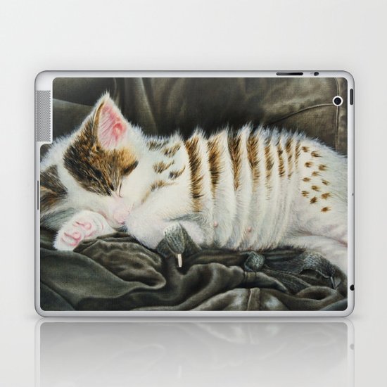 Sleeping Accordion Laptop & iPad Skin