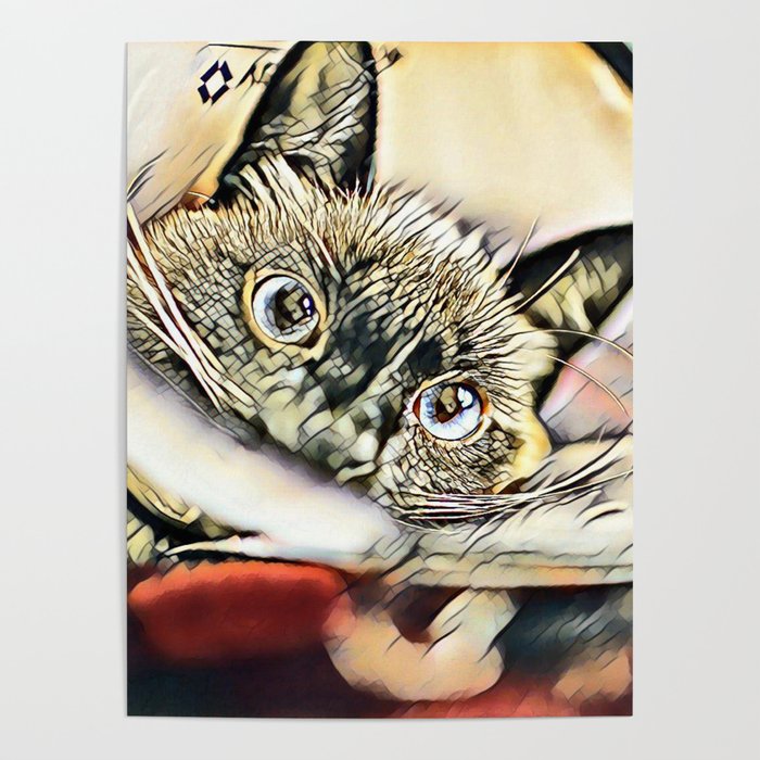 Elizabethan cat new arrivals