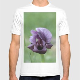Iris haynei T-shirt