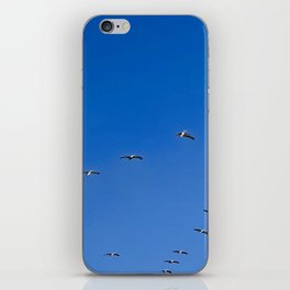 pelican migration, bright blue skies iPhone Skin