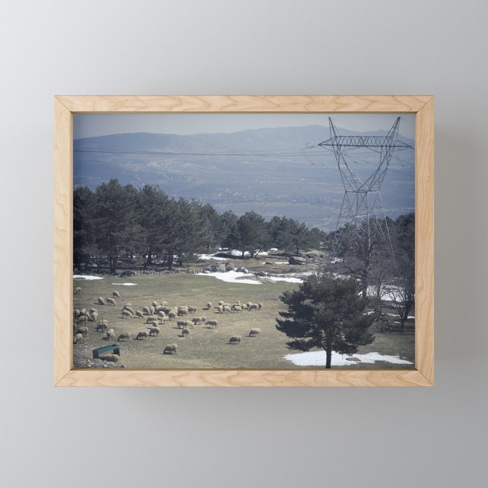 Electric sheeps Framed Mini Art Print