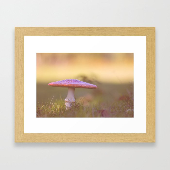 Fly agaric mushroom Framed Art Print
