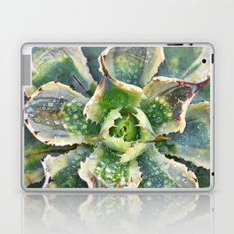 Succulents 10 Laptop Skin