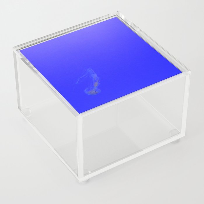 blue sea and jellyfish. Acrylic Box