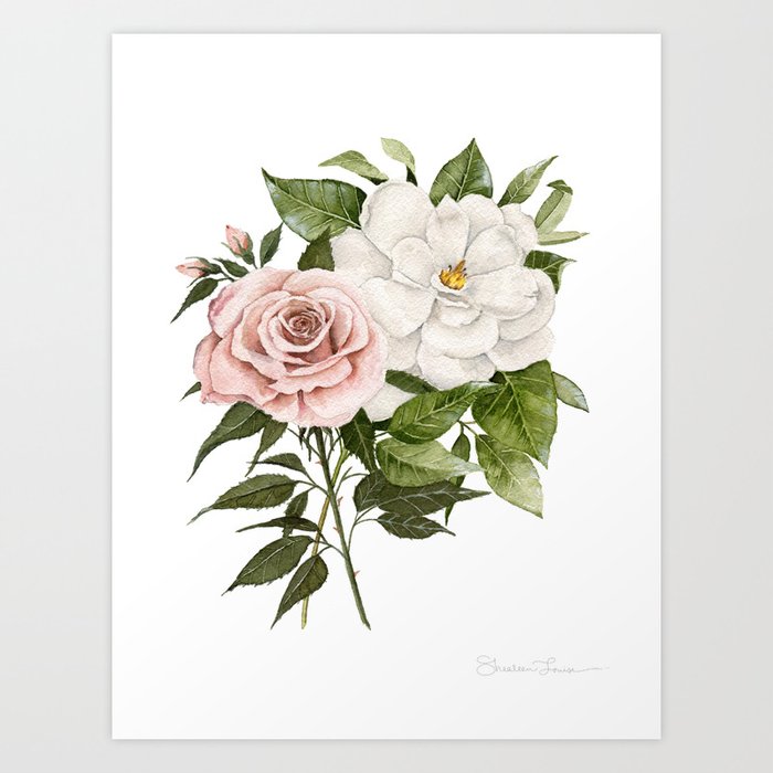 Pink Rose and Magnolia Art Print