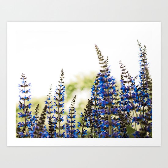 The Purple Field Art Print