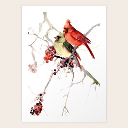 Cardinal Bird Art Prints For Any Decor Style Society6