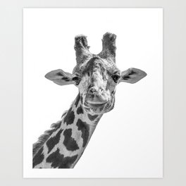 Giraffe | Peek-A-Boo | Animal Photography | Minimalism | Mammal | Wildlife | Nature Art Print