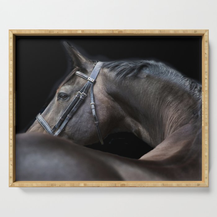 I'm watching you - Equestrian art Serving Tray