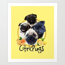 Citricpugs Art Print | Pugworld, Puglove, Pet, Lemon, Pugs, Instapug, Pugstagram, Citric, Pugnation, Pugsnotdrugs 