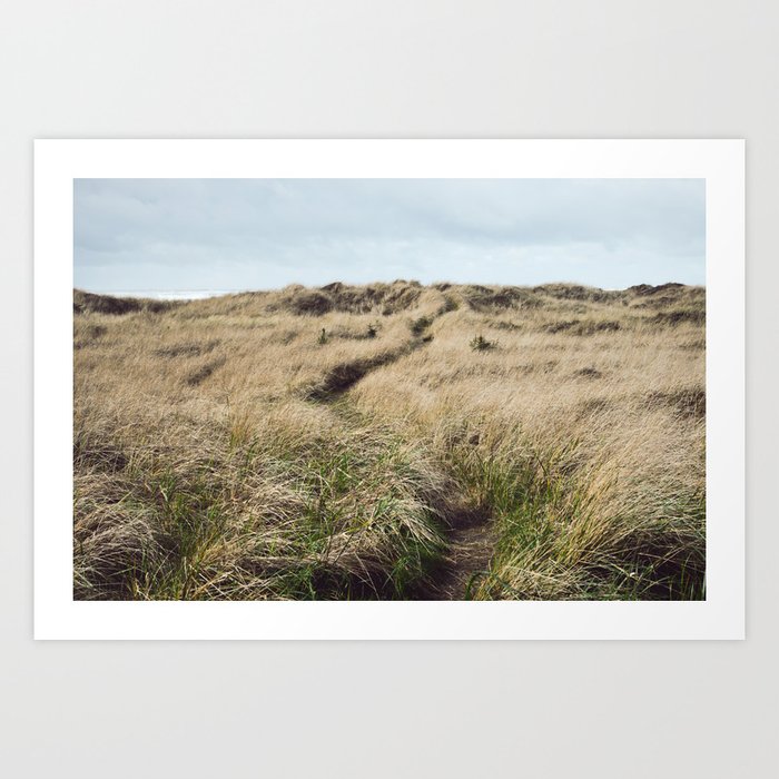 Oregon Dune Grass Adventure - Nature Photography Art Print