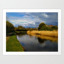 Walk along the canal Art Print | Water, Birds, Digital, Rimrose, Canalbank, Crosby, Park, Canal, Trees, Color 
