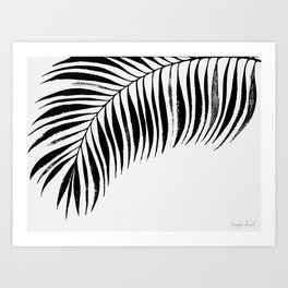 Tropical Palm Frond: Black & White Art Print
