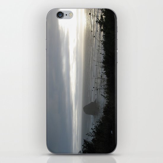 Day is Done iPhone & iPod Skin