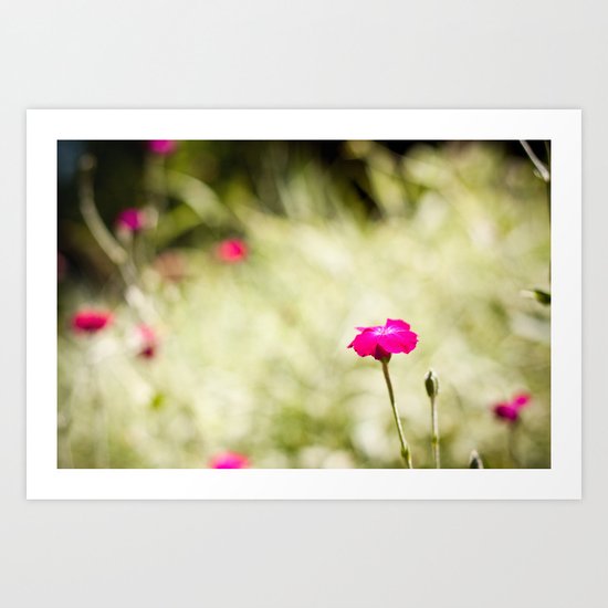 Pink Art Print