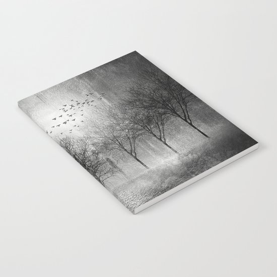Black and White - Paisaje y color II Notebook