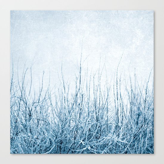 winter II Canvas Print