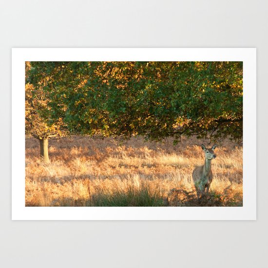 On The Watch Art Print